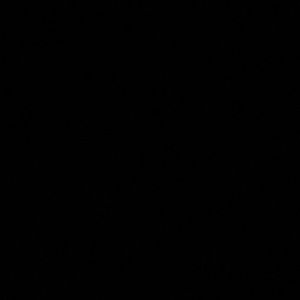 Meet your Posher, Lily